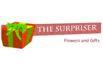 Thesurpriser