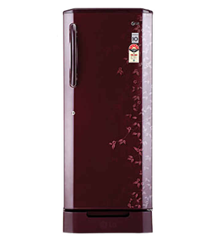 LG Single Door Refrigerator GL-245BNDE5 Image