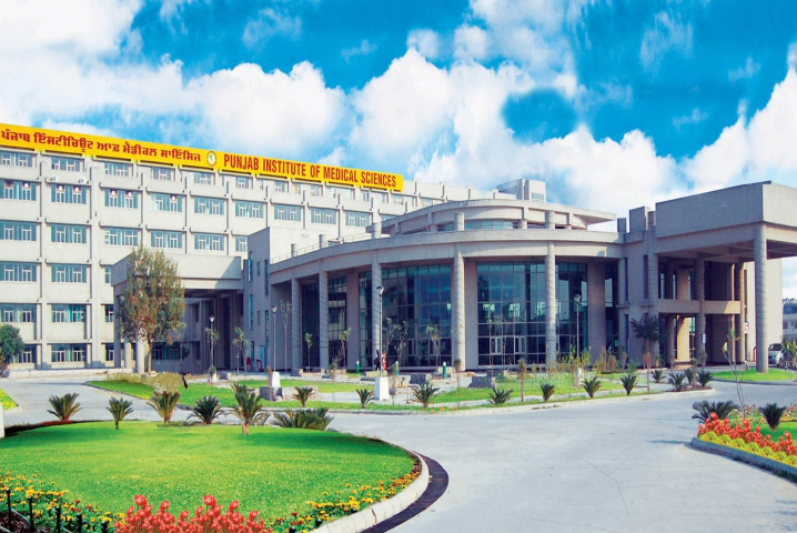 Punjab Institute of Medical Sciences - Jalandhar Image