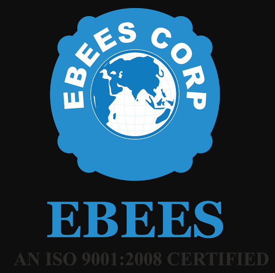 EBEES Infotrain Consultancy Services - Delhi Image