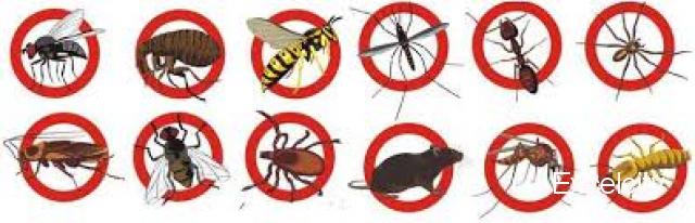 Effective Pest Control India Image