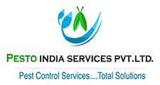 Pesto India Services Pvt. Ltd. Image