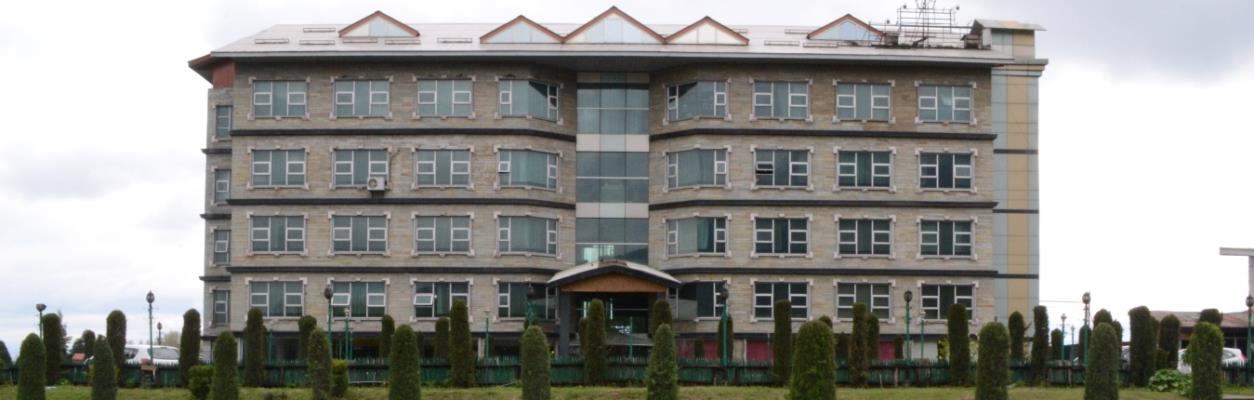 Hotel Silver Star - Srinagar Image