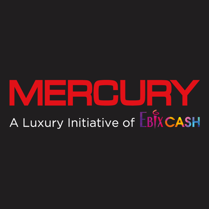 Mercury Travels - New Delhi Image