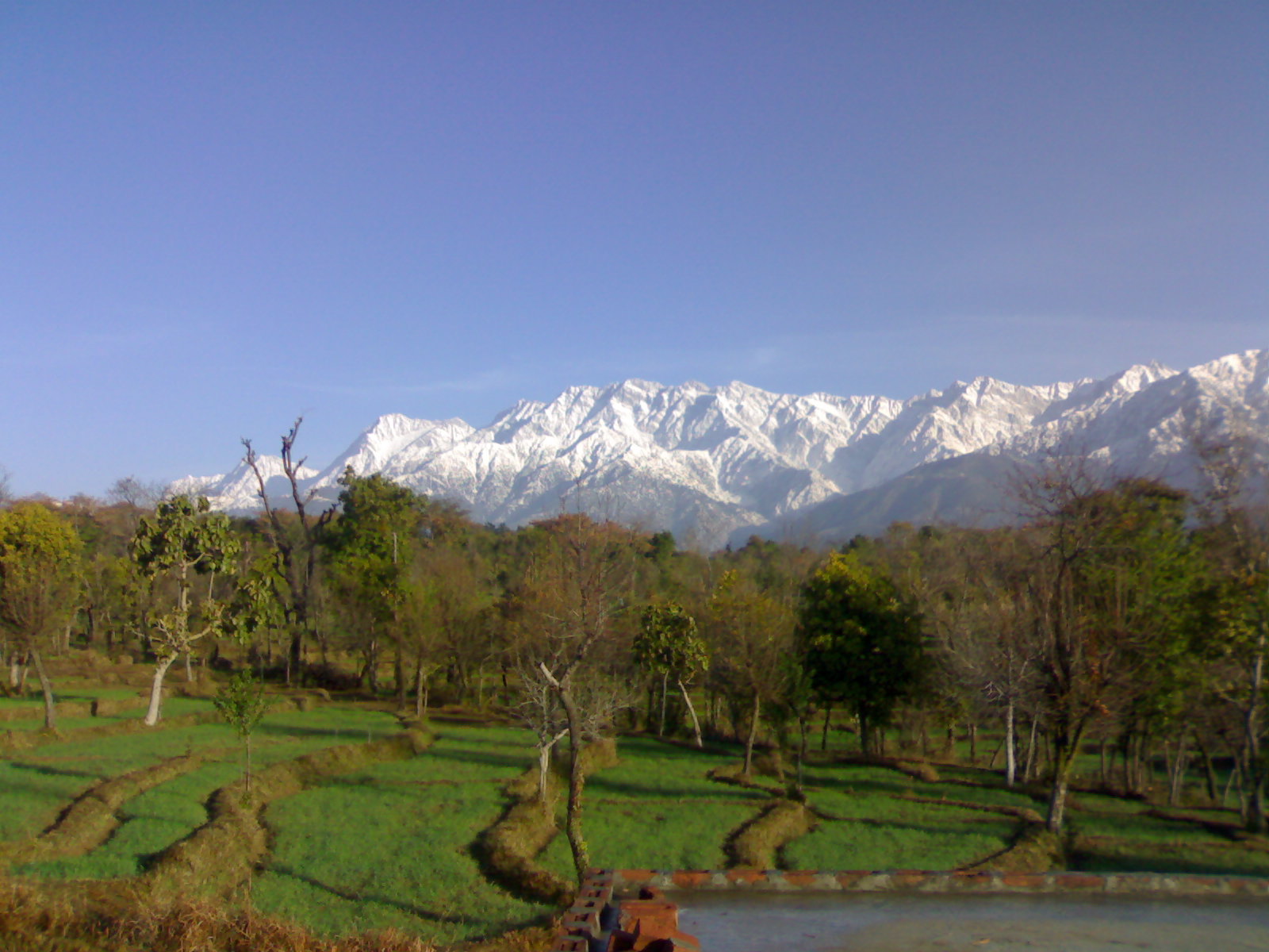 palampur-reviews-tourist-places-tourist-destinations-tourist