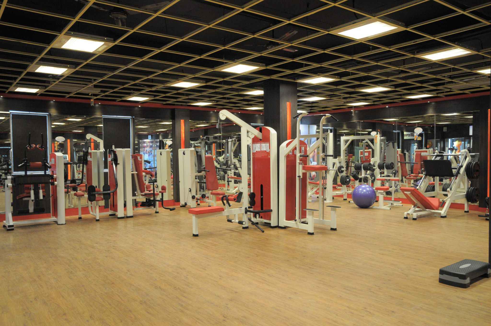 Maverick Fitness Studio - Indira Nagar - Chennai Image