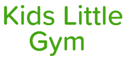 Kids Little Gym - Sector 63 - Noida Image