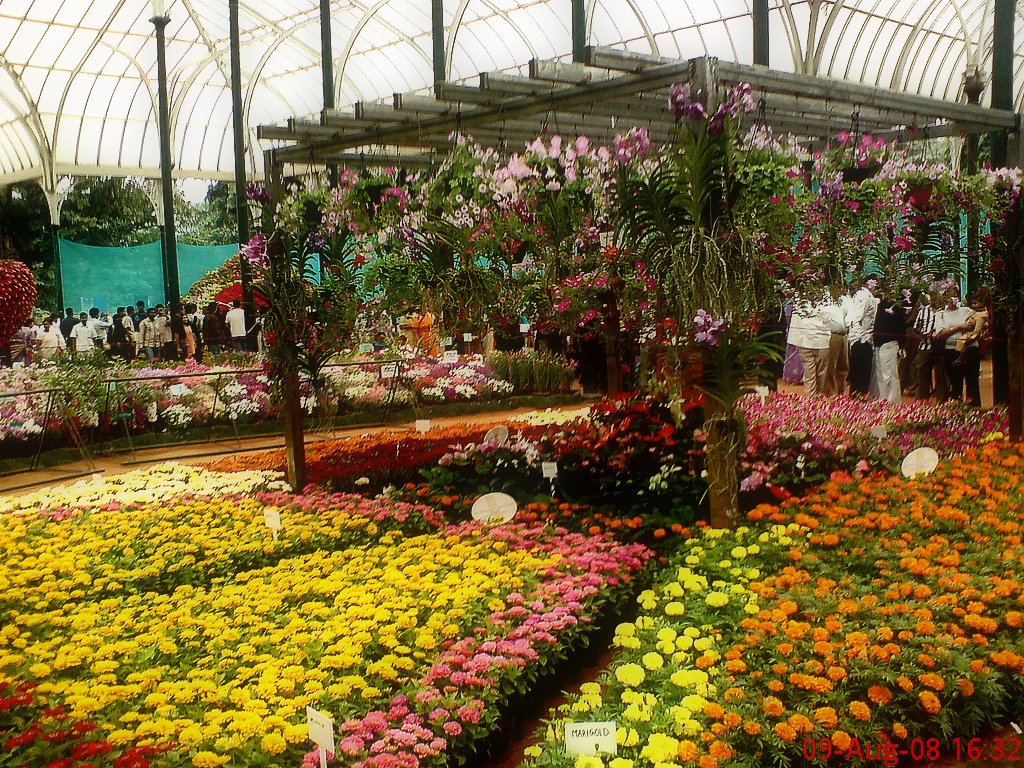 Lalbagh Botanical Garden - Bengaluru Image