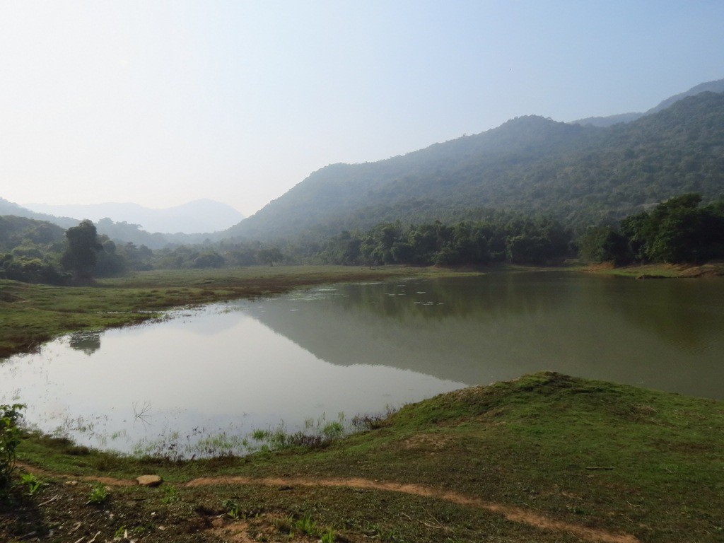 Kuldiha Wildlife Sanctuary - Nilgiri Image