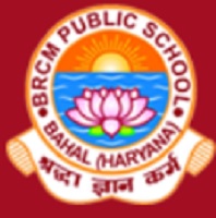 BRCM Public School - Bahal Image