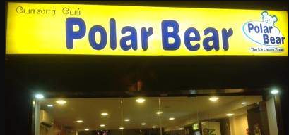 Polar Bear - Nehru Stadium - Coimbatore Image