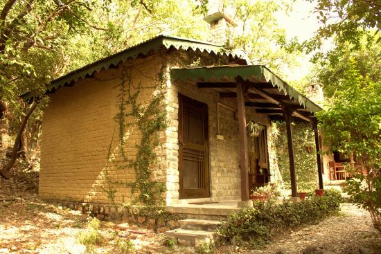 Corbett's Call of the Wild Safari Lodge - Betalghat - Nainital Image