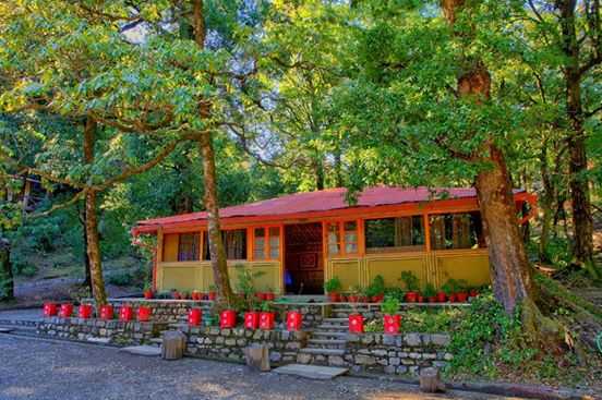 Ayar Jungle Camp - Mallital - Nainital Image