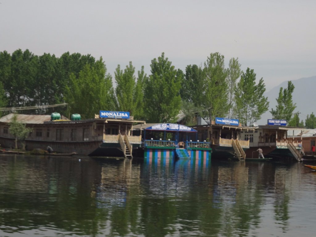 Young Monalisa Houseboat - Dal Lake - Srinagar Image