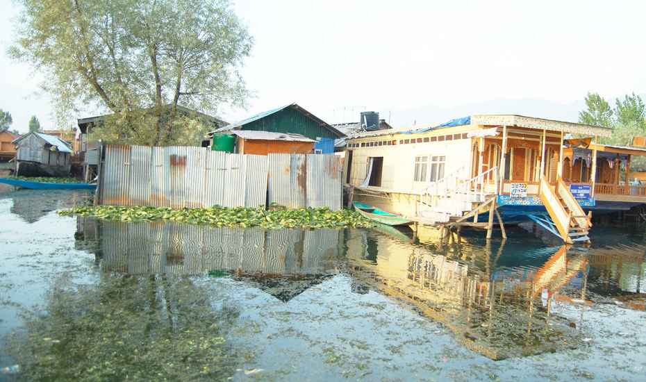 Kings Ring Houseboat - Dal Lake - Srinagar Image