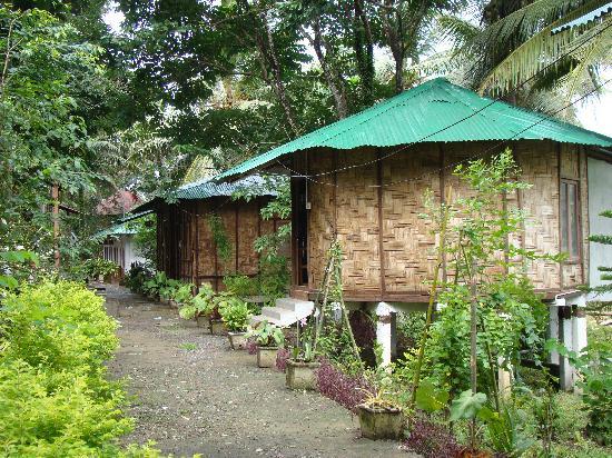 Palm Grove Eco Resort - Prothrapur - Port Blair Image