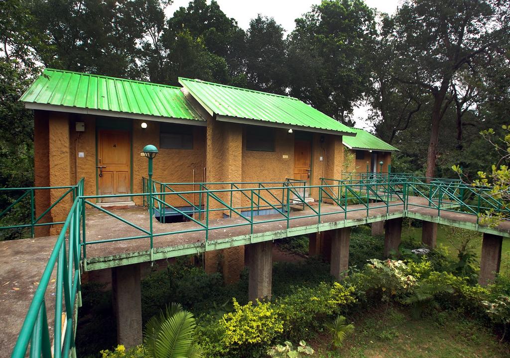 White Tiger Forest Lodge - Tala - Bandhavgarh Image