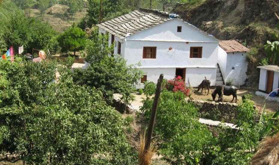 Village Ways Binsar Guesthouses - Ayarpani - Almora Image