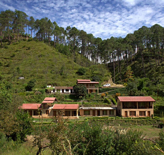 Woods Resort - Khatyari - Almora Image