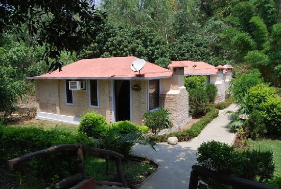 Corbett Jungle Club Resort - Ram Nagar - Corbett Image