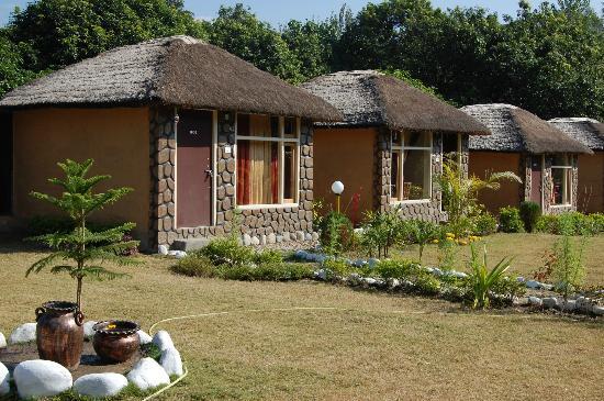 Jungle Paradise retreat - Dhikuli - Corbett Image