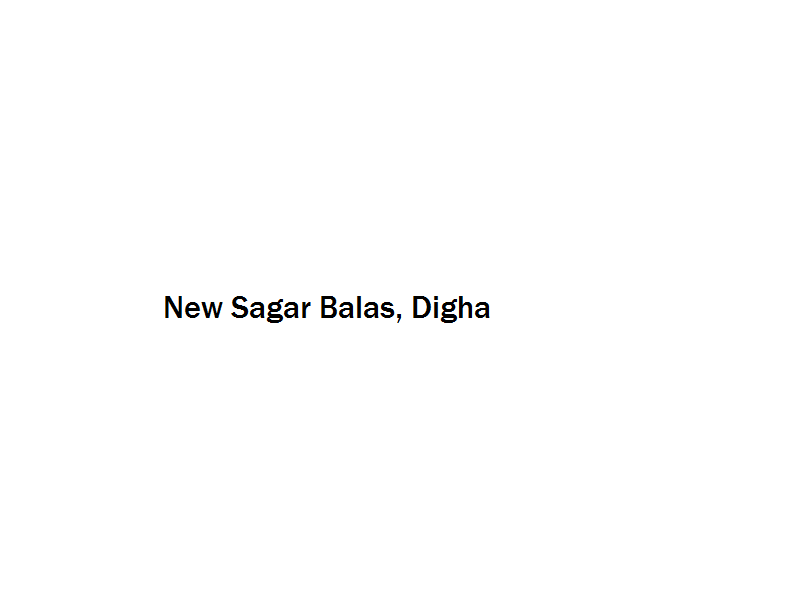 New Sagar Balas - Digha Image