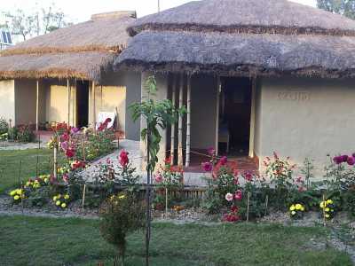 Sunderban Jungle Camp - Gosaba Image