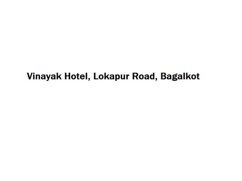 Vinayak Hotel - Lokapur Road - Bagalkot Image