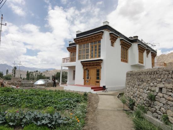 Dawa Guest House - Sankar - Leh Image