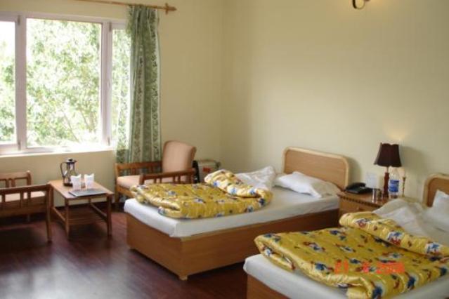 Hotel Lingzi - Old Fort Road - Leh Image