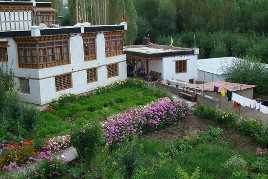 Silk Route Inn - Skara - Leh Image