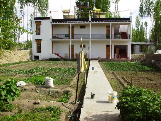 Yartsa Guest House - Tukcha Main Road - Leh Image