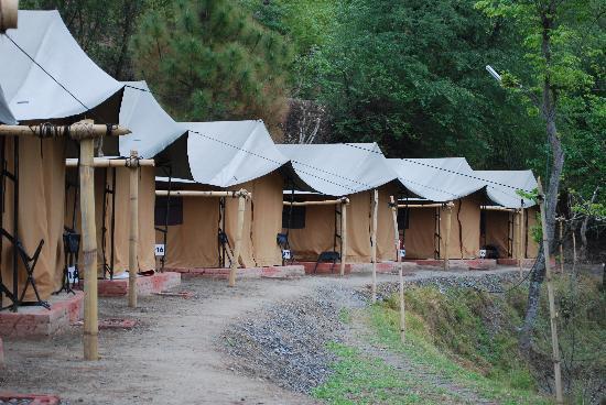 Camp Chrysalid Junga - Maheshu - Shimla Image