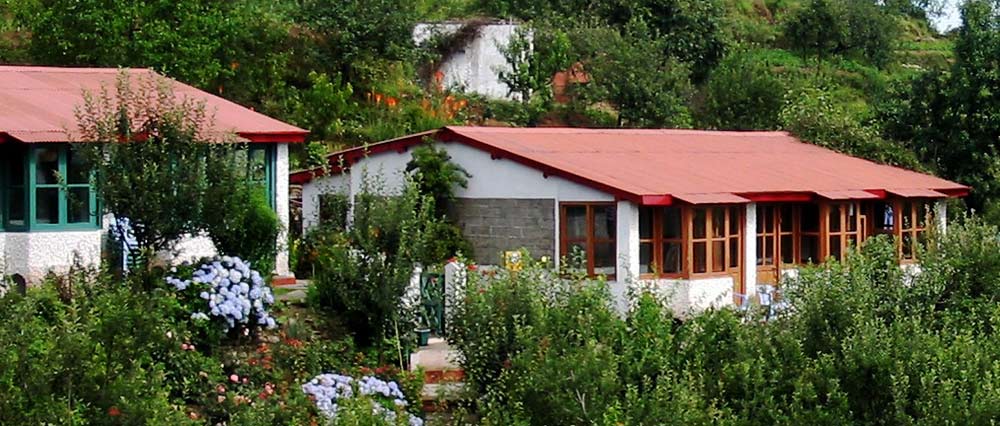 Green Hill Resort and Camp - Mukteshwar - Nainital Image