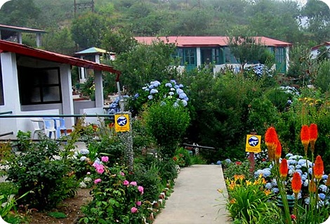 Mountain Trail Resort - Mukteshwar - Nainital Image