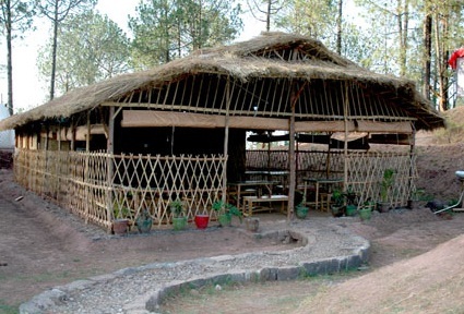 Sanawar Nature Camp - Dharampur - Kasauli Image