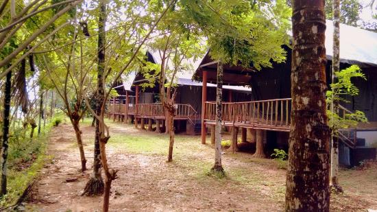 Horn Bill Homestay - Rosapookandam - Thekkady Image