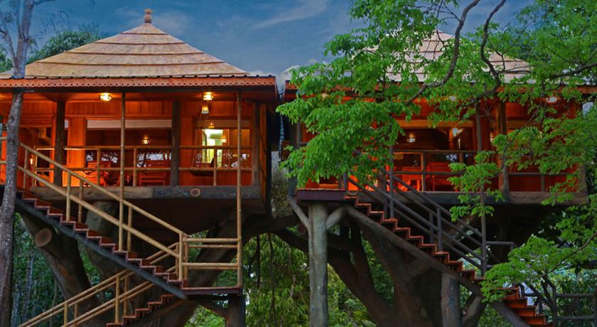 Rangerwood Machan Jungle Tree House - Thekkady Image