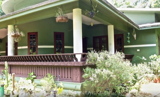 Green House Homestay - Perithalmanna - Malappuram Image