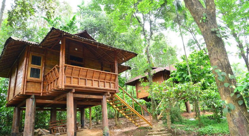 Trekking Trails Eco Lodge - Shanti Nagar - Kalpetta Image