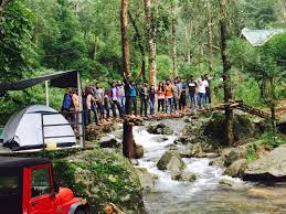 Wayanad Jungle Camp - Kalpetta Image