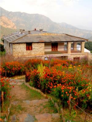 Dunagiri Retreat - Dunagiri - Ranikhet Image