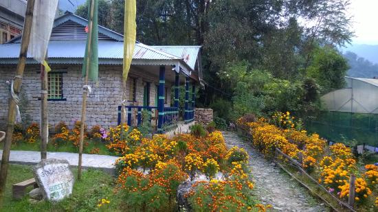 Dara Gaon Village Retreat - Pelling Image