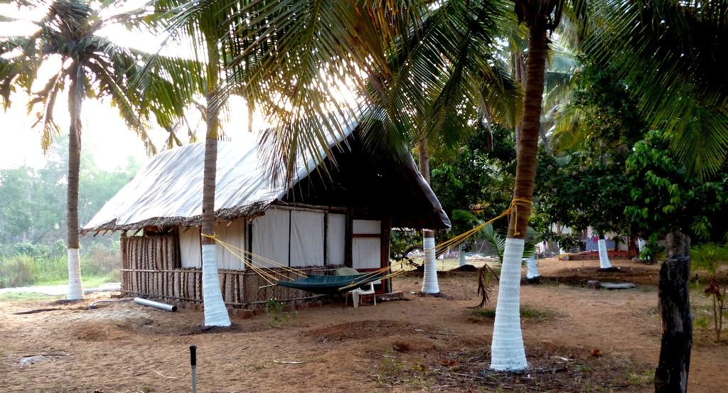 Linger at Bavikodla - Gangavalli Road - Gokarna Image