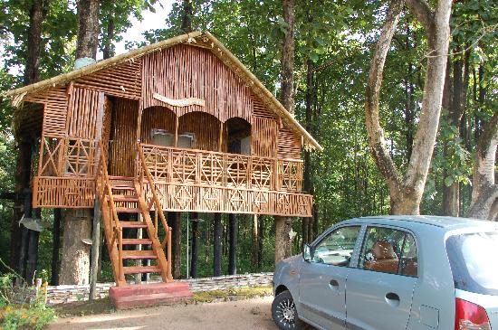 Parambikulam Wildlife Sanctuary - Pollachi - Palakkad Image