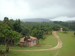 Huthouse Homestay - Kyanahalli - Sakleshpur Image