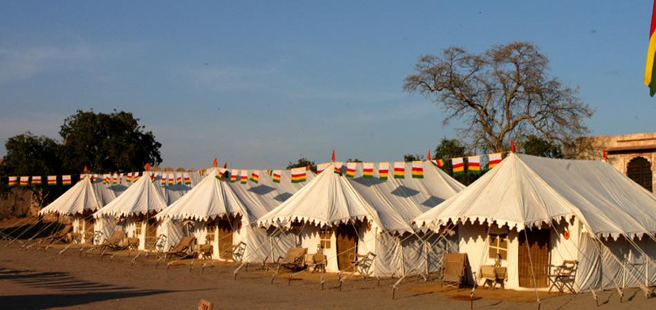 Royal Camp - Nagaur Camp - Nagaur Image