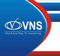 VNS Finance and Capital Services Ltd Image