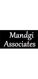 Anant Mandgi & Associates Image