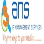 ANS IP Management Services Image